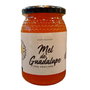 Mel de Guadalupe Ilha da Graciosa 500g