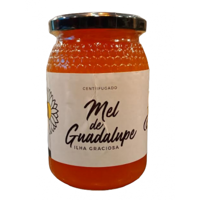 Mel de Guadalupe Ilha da Graciosa 500g